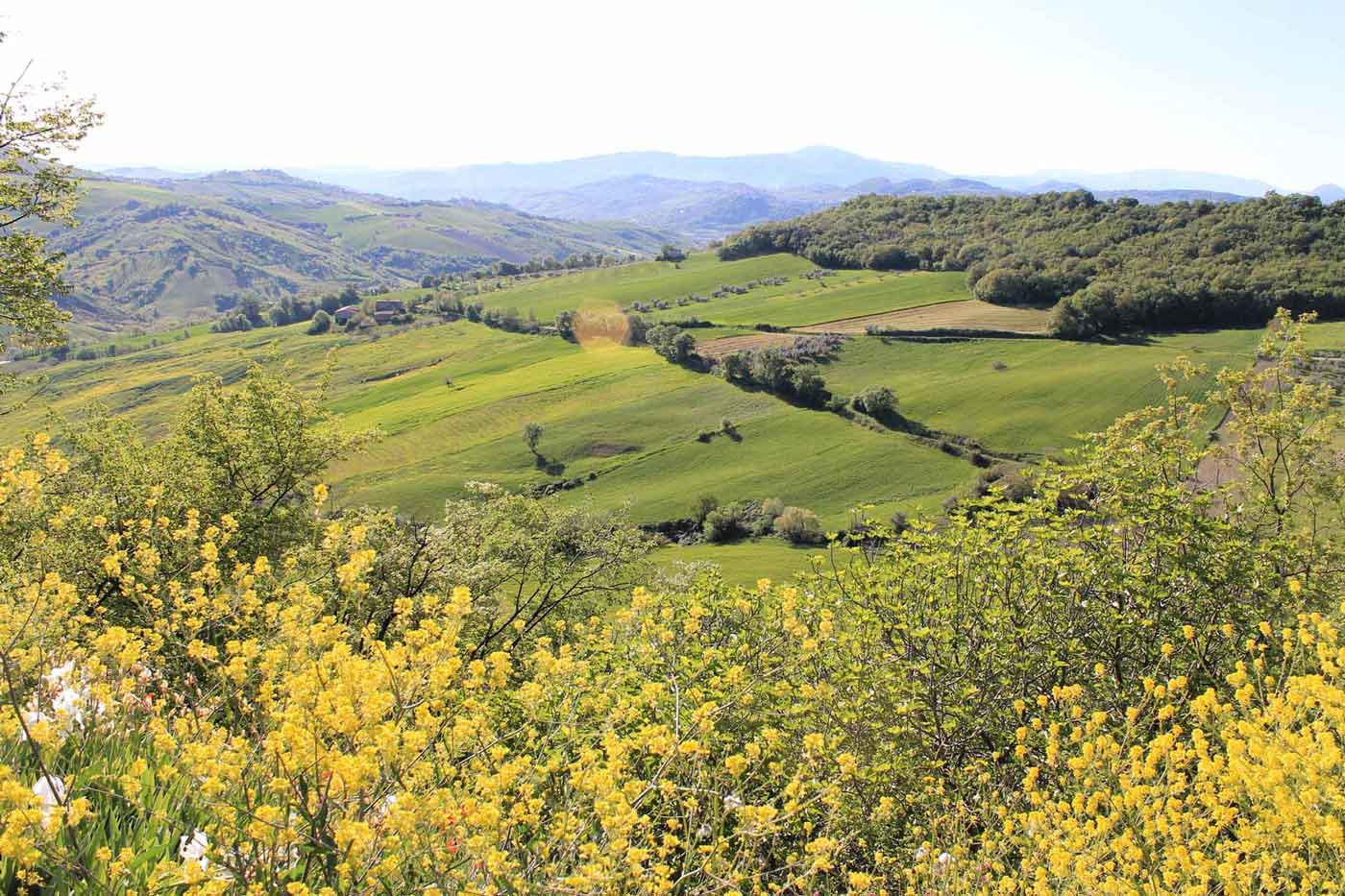 Caprafico valley in springtime